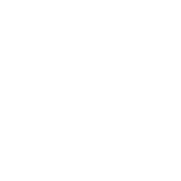 Blossom